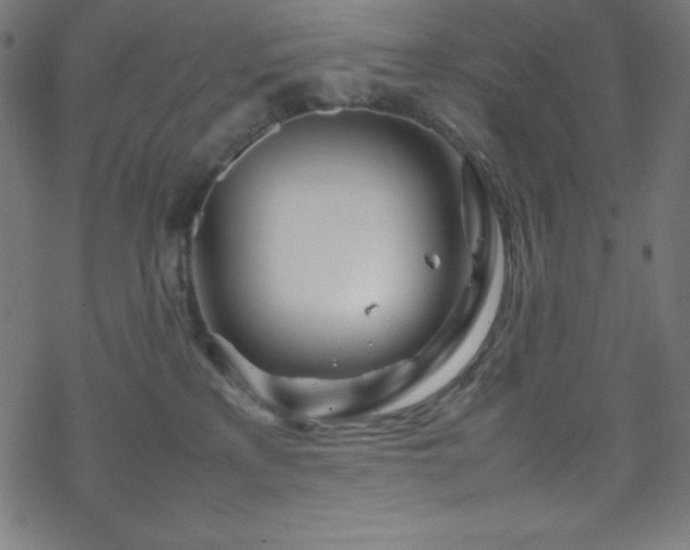 X0000070230233200605301503