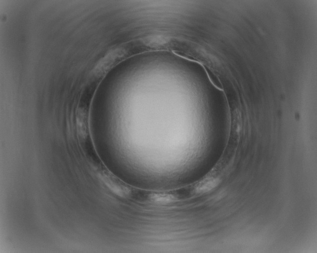 X0000070230234200605301503