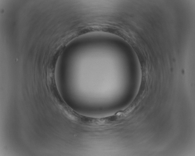 X0000070230235200605301503