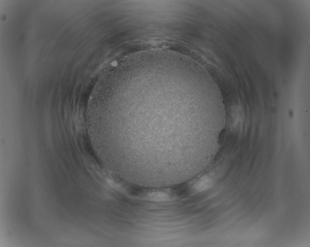 X0000070230236200605301503