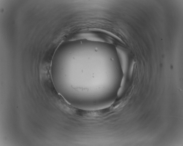 X0000070230237200605301503