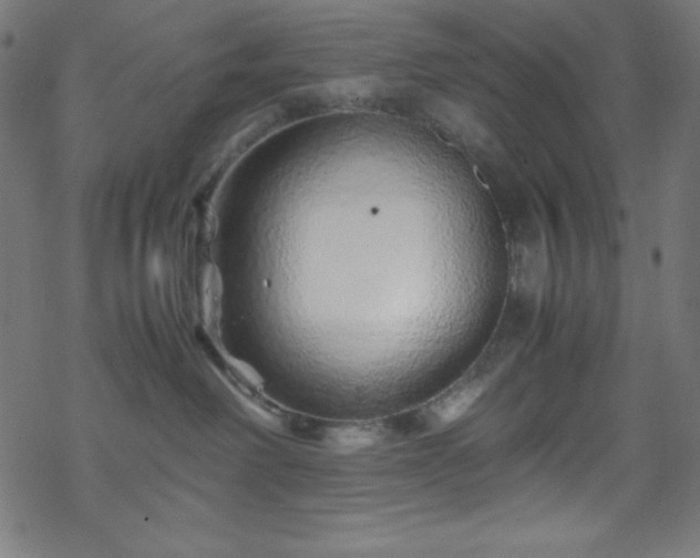 X0000070230238200605301503