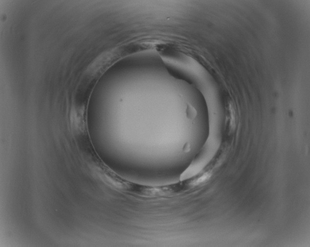 X0000070230239200605301503