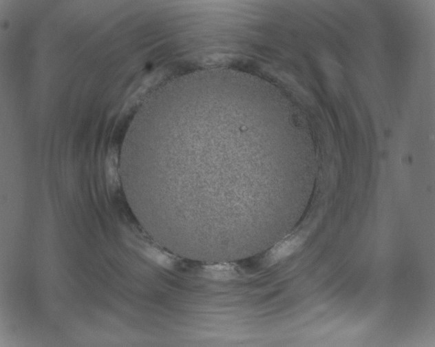 X0000070230240200605301503