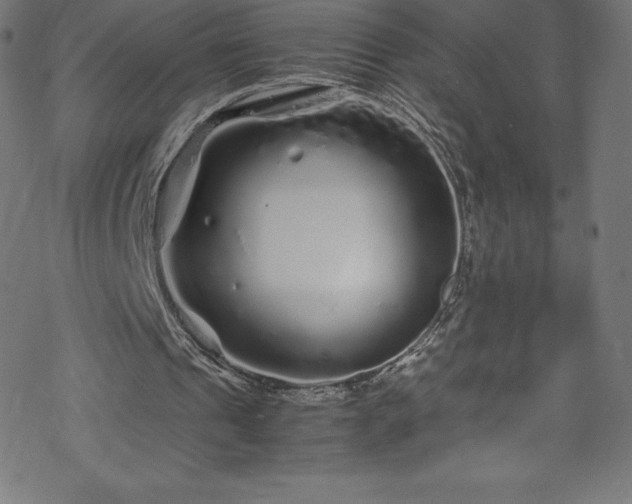 X0000070230241200605301502