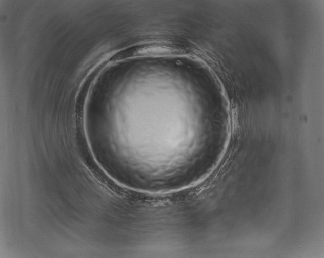 X0000070230243200605301502