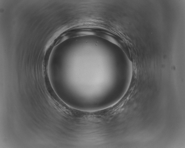 X0000070230244200605301502