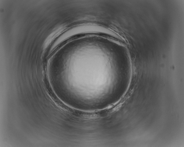 X0000070230245200605301502