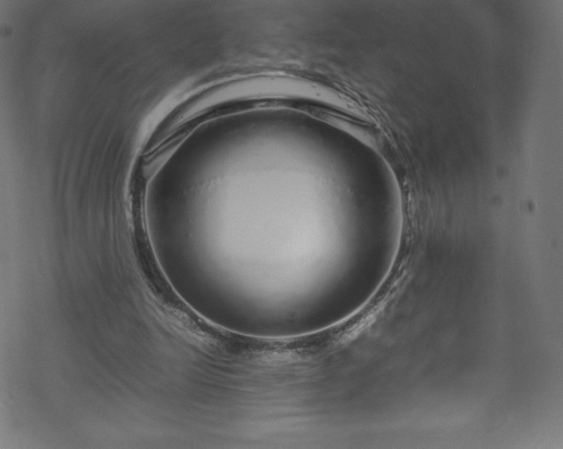 X0000070230246200605301502