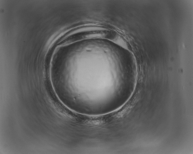 X0000070230247200605301502