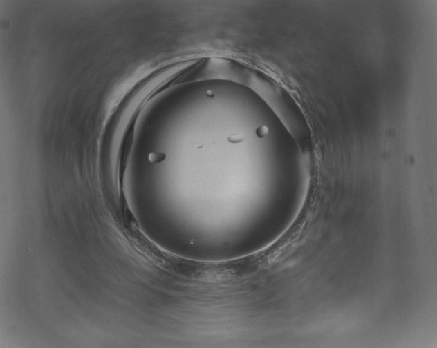 X0000070230248200605301502