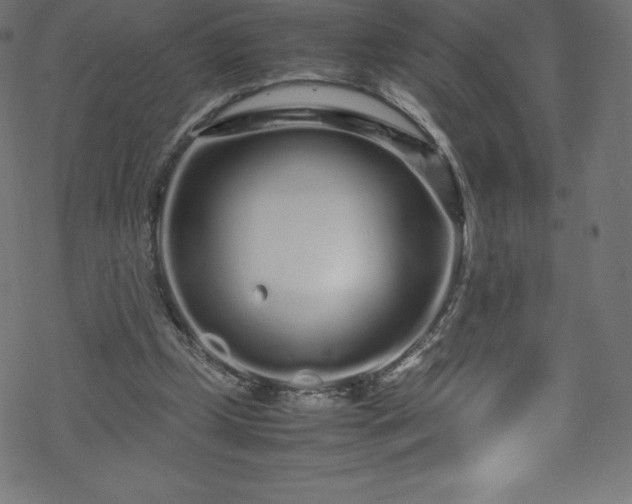 X0000070230249200605301502