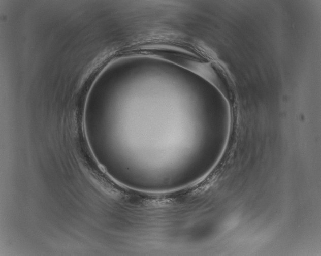 X0000070230250200605301503