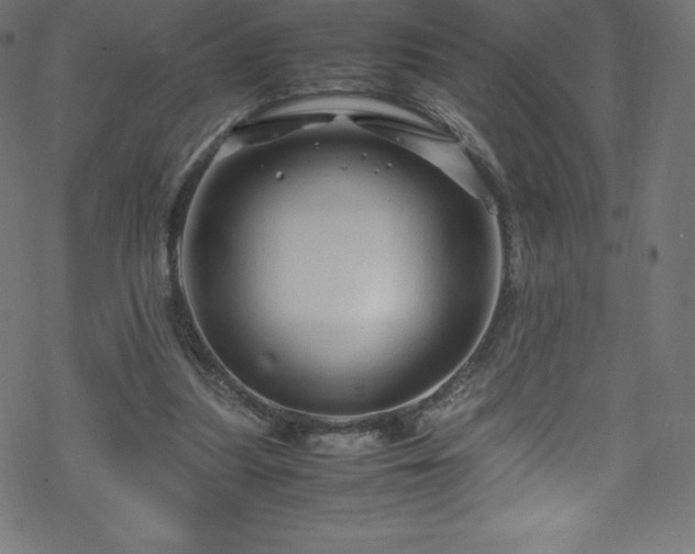 X0000070230251200605301503