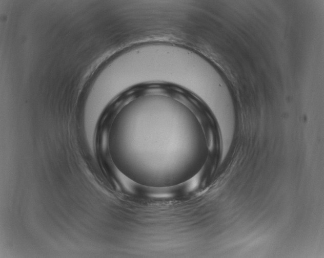 X0000070230252200605301503