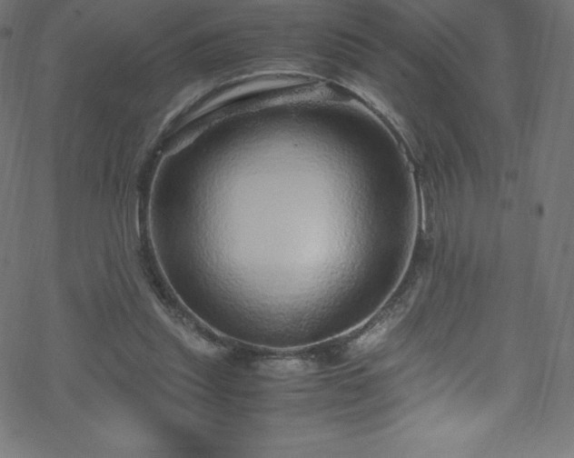 X0000070230253200605301503