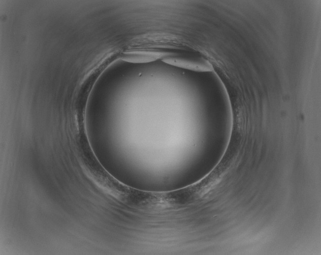 X0000070230254200605301503