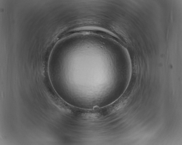 X0000070230255200605301503