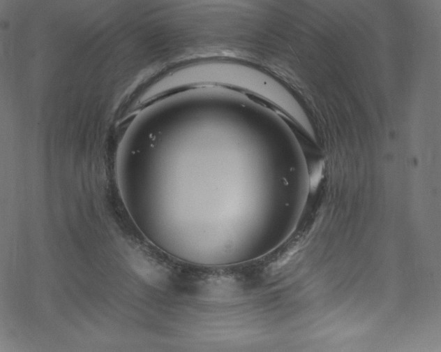 X0000070230256200605301503