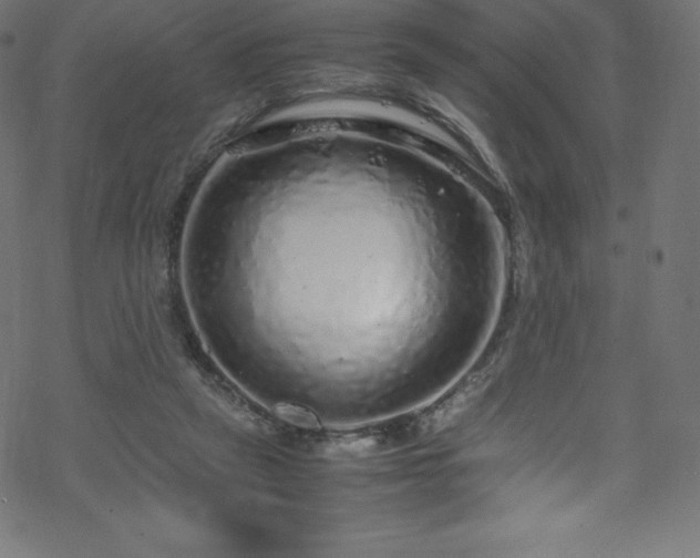 X0000070230257200605301503