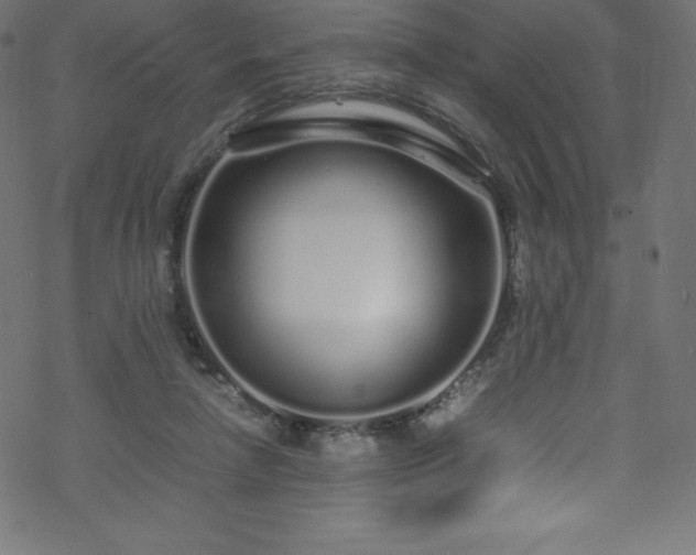 X0000070230258200605301503