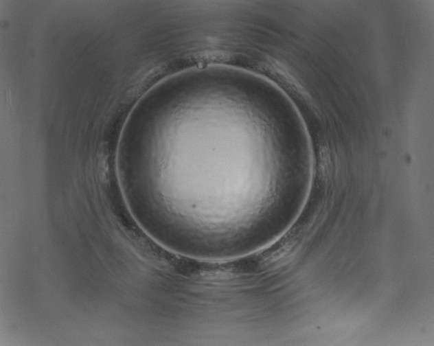 X0000070230259200605301503