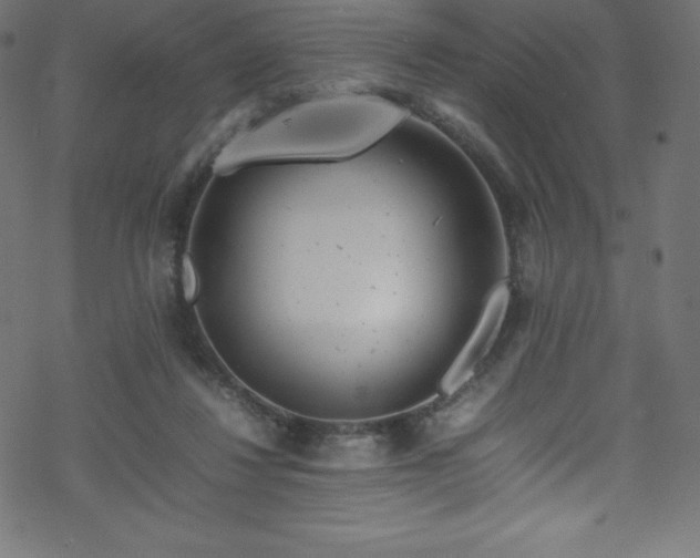 X0000070230260200605301503