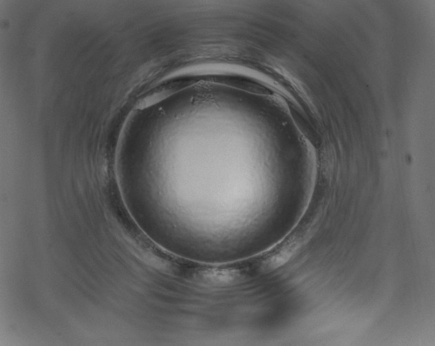 X0000070230261200605301503