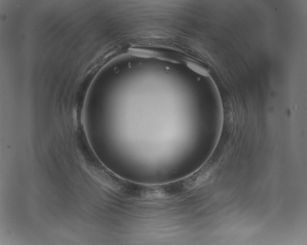 X0000070230262200605301503