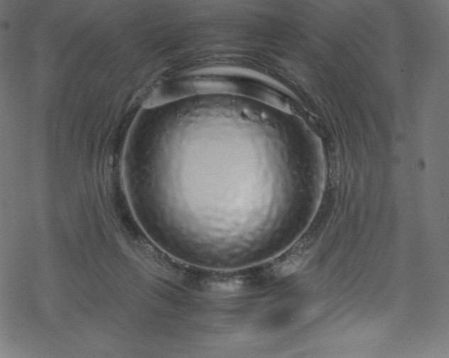 X0000070230263200605301503