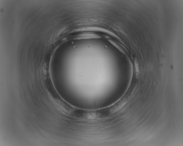 X0000070230264200605301503