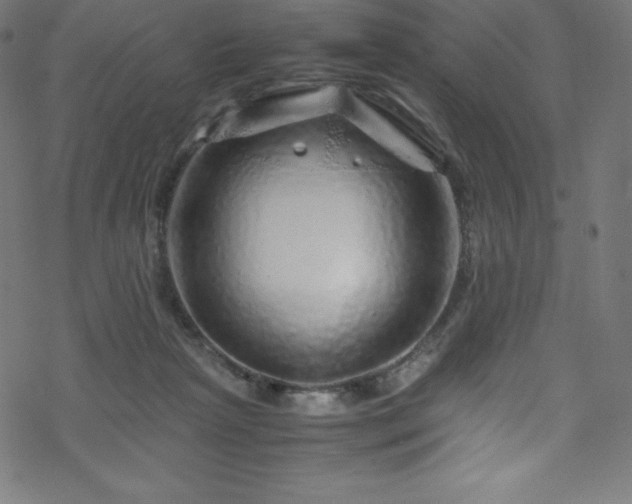 X0000070230265200605301503