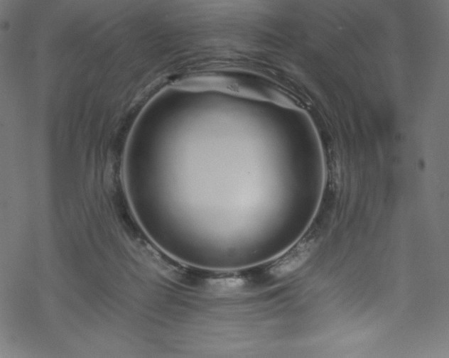 X0000070230266200605301503