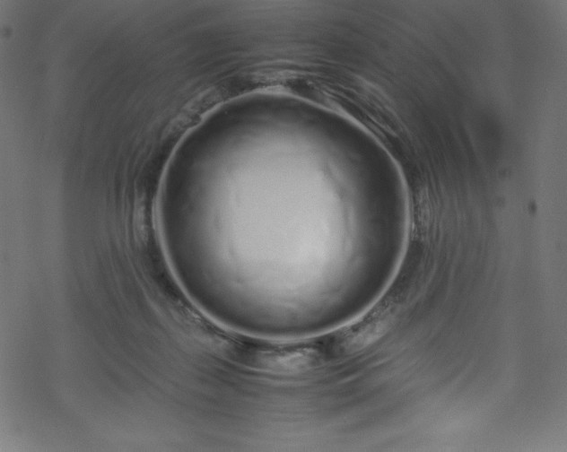 X0000070230267200605301503