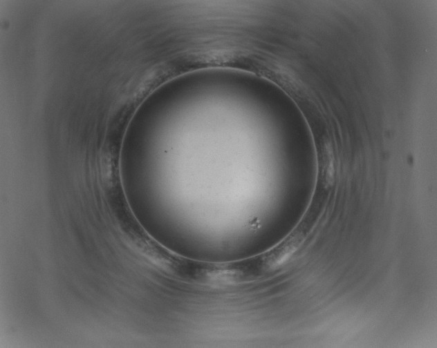 X0000070230268200605301503