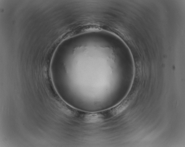 X0000070230269200605301503