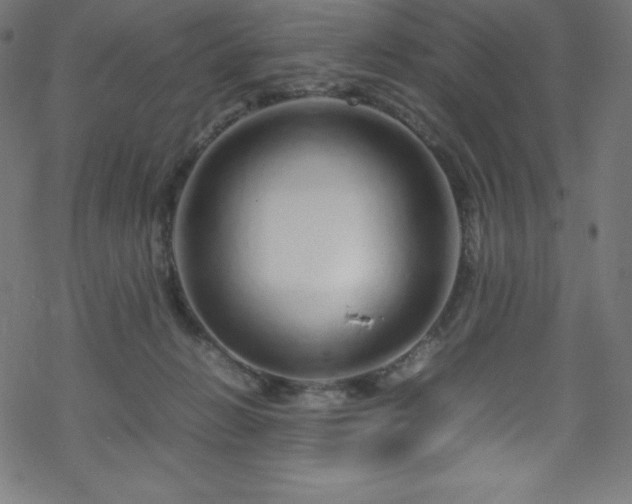 X0000070230270200605301503