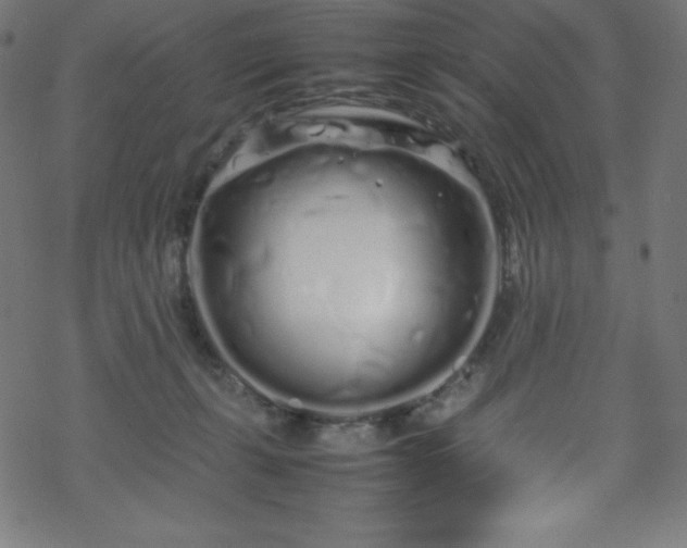 X0000070230271200605301503