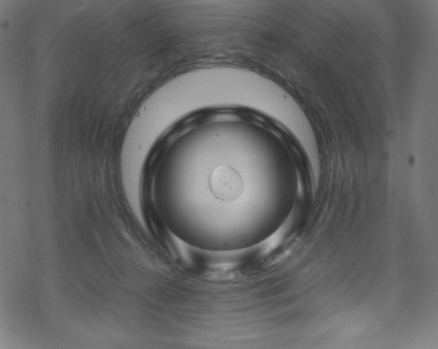 X0000070230272200605301503