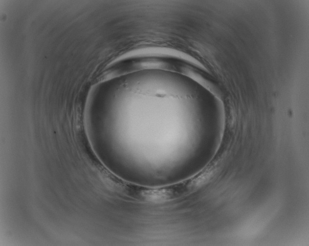 X0000070230273200605301503