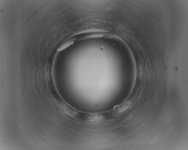 X0000070230274200605301503