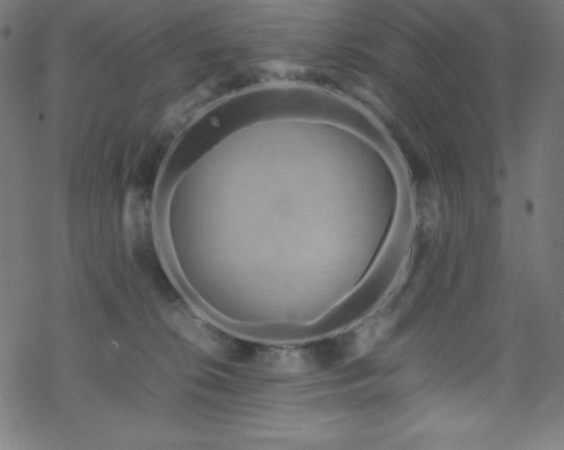 X0000070230276200605301503