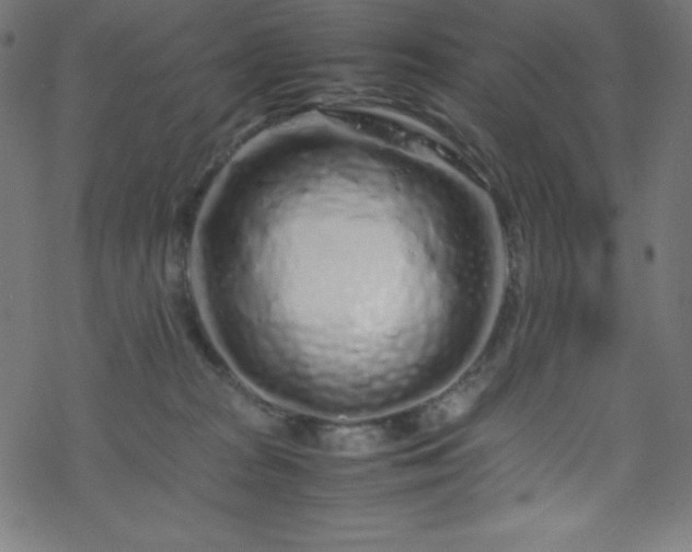 X0000070230277200605301503