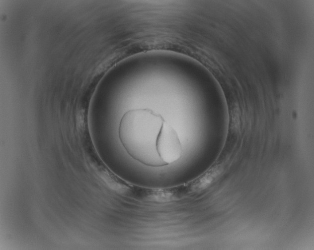 X0000070230278200605301503