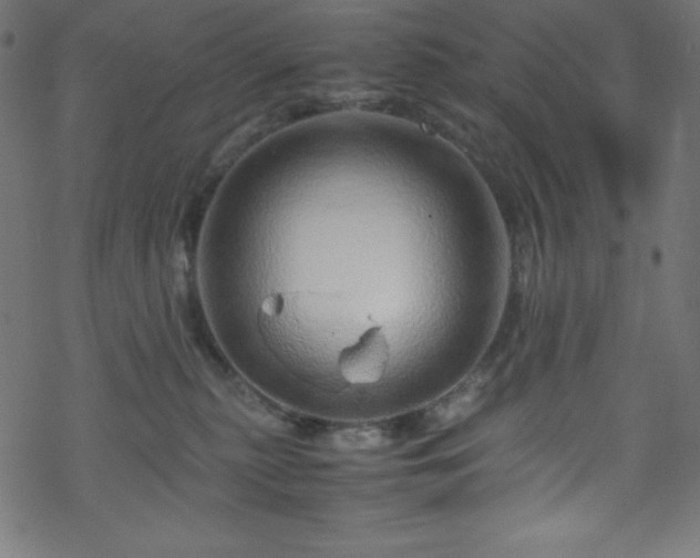 X0000070230279200605301503