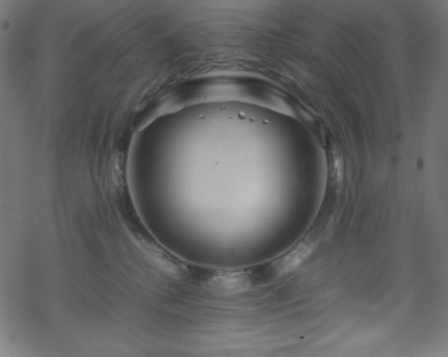 X0000070230280200605301503