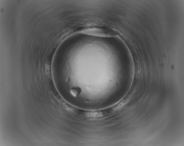 X0000070230281200605301503