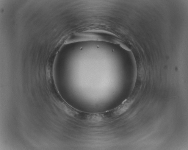 X0000070230282200605301503