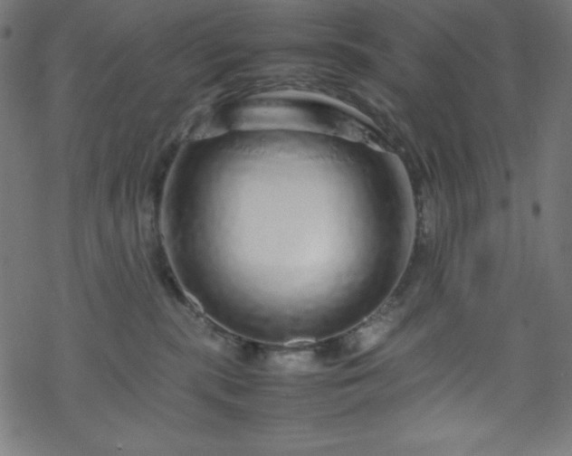 X0000070230283200605301503