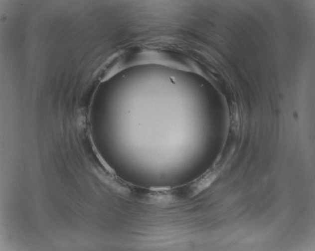 X0000070230284200605301503